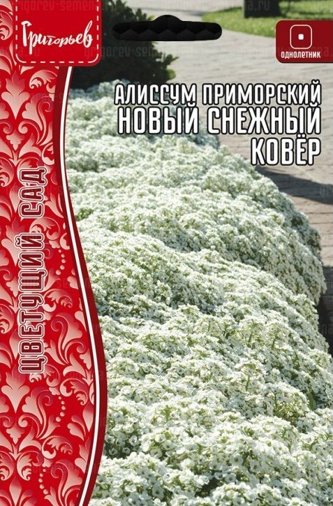 Алиссум новый снежный ковер приморский 0,1г (Ред.сем)