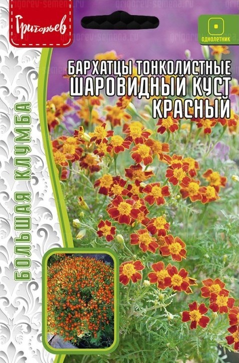 Бархатцы Шаровидный куст Красный тонколистный большая клумба 100шт (Ред.Сем)