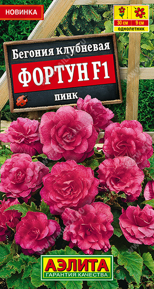 Бегония Фортун F1 пинк 5шт (Аэлита)