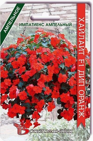Импатиенс (бальзамин) Хайлайт F1 Дип Оранж однолетник 10шт (Биотехника)