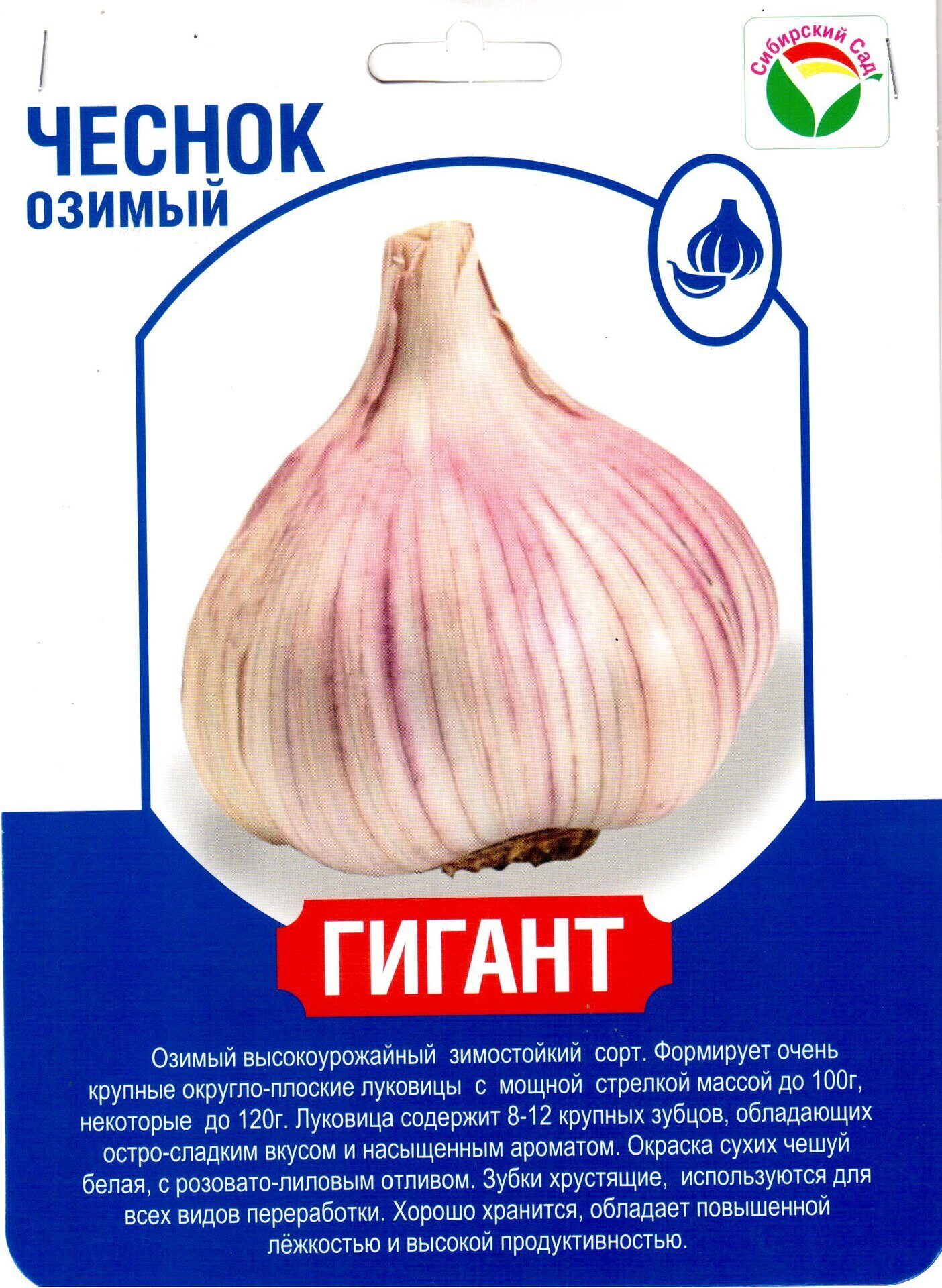 Чеснок Гигант фракция 60+ (УПАКОВКА +/- 0.5кг) (Сиб сад)