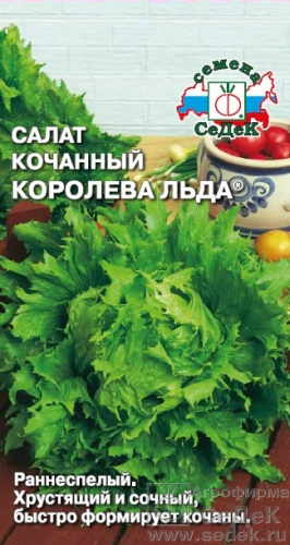Салат Королева льда кочанный 0,5г (Седек)