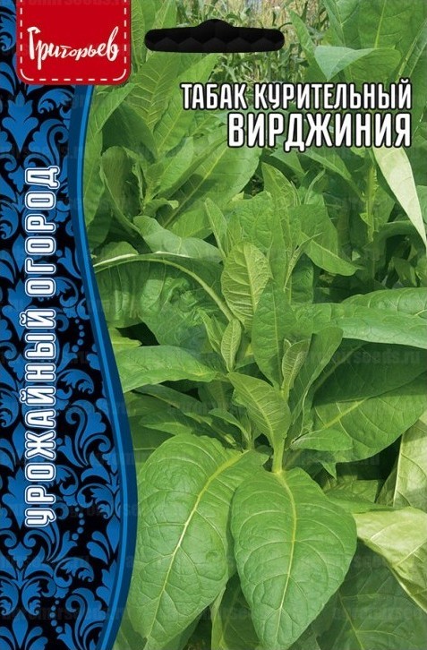 Табак Вирджиния курительный Большая грядка 0,1г (Ред.сем)