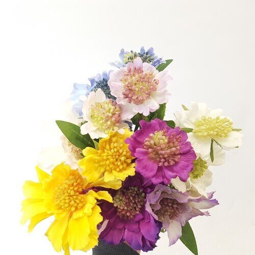 Цветы SBYS-1 Скабиоза в ассортименте (Сиб Сад)(144шт) 