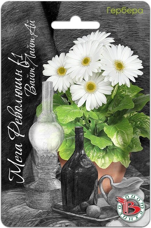 Гербера Мега Революшн F1 Вайт Лай Ай 5шт (Биотехника)