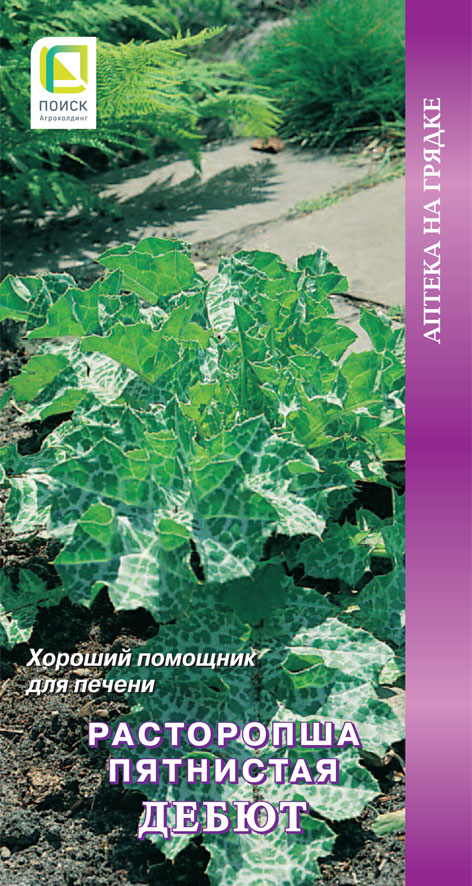 Расторопша Дебют пятнистая Аптека на грядке 0,5г (Поиск)