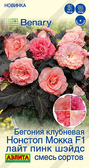 Бегония Нонстоп мокка F1 лайт пинк шэйдс смесь 5шт (Аэлита)