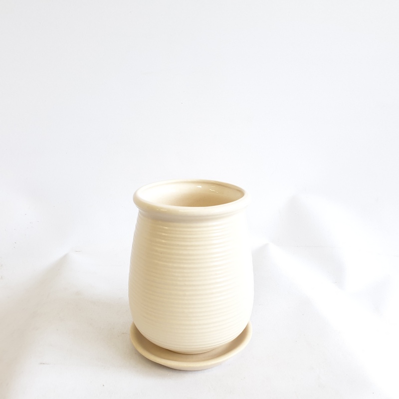 Венера №4 1л (в.14,2 д.11,8) (В)