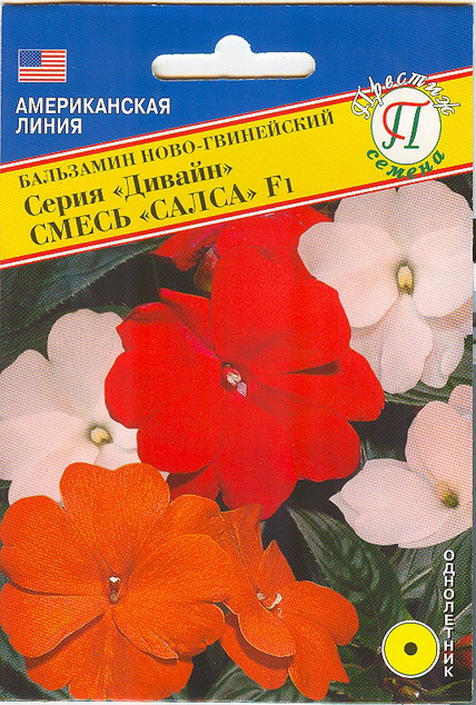 Бальзамин Дивайн F1 Сальса ново-гвинейский смесь однолетник 5шт (Престиж)