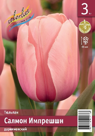 Тюльпан Салмон Импрешшн 11/12 3шт (Колорлайн)