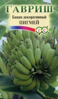 Банан Пигмей декоративный 3шт (Гавриш)