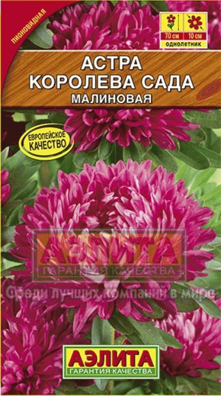 Астра Королева Сада Малиновая 0,2г (Аэлита)