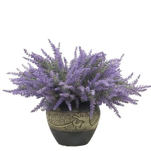 Цветы SBLV-1 Лаванда 40см (Сиб Сад)(300шт) 