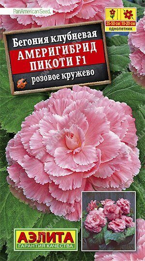Бегония Америгибрид F1 Пикоти Розовое кружево 5шт (Аэлита)