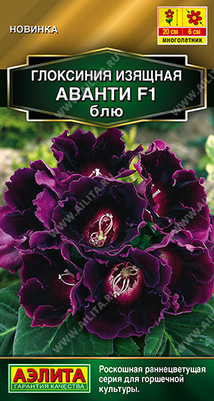 Глоксиния Аванти F1 блю 5шт (Аэлита)