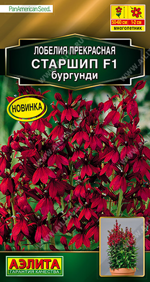 Лобелия Старшип бургунди F1 многолетник 5шт (Аэлита)