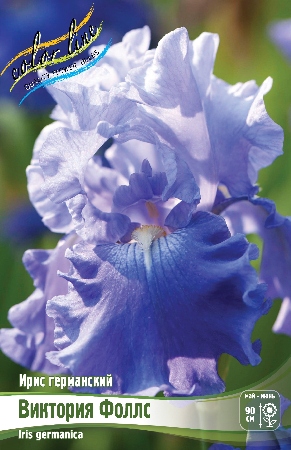 Ирис Виктория Фоллс (Германский) 1шт (Колорлайн)