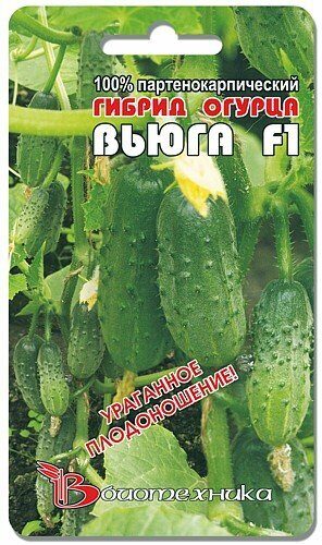 Огурец Вьюга F1 ультраскороспелый 8шт (Биотехника)