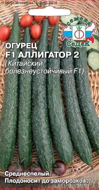 Огурец Аллигатор 2 F1 0,2г (Седек)