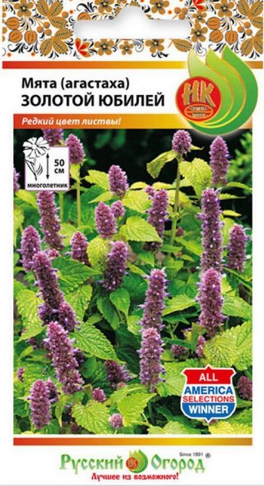 Мята (Агастаха) Золотой юбилей многолетник 35шт (НК)