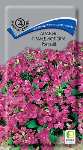 Арабис Розовый многолетник 0,1г (Поиск)