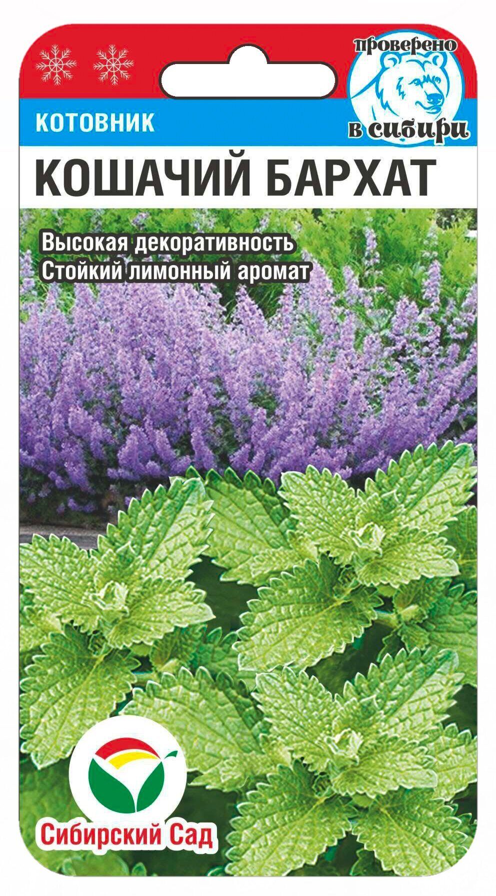 Котовник Кошачий бархат 0,1г (Сиб Сад)