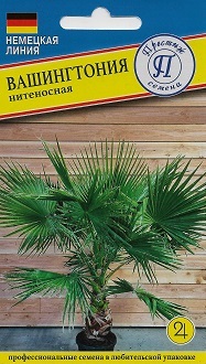 Вашингтония Пальма нитеносная 2шт (Престиж)
