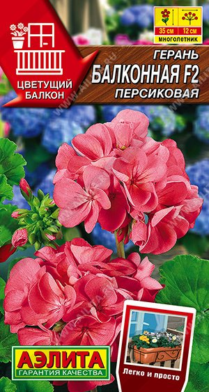 Герань Балконная F2 персиковая  5шт (Аэлита)