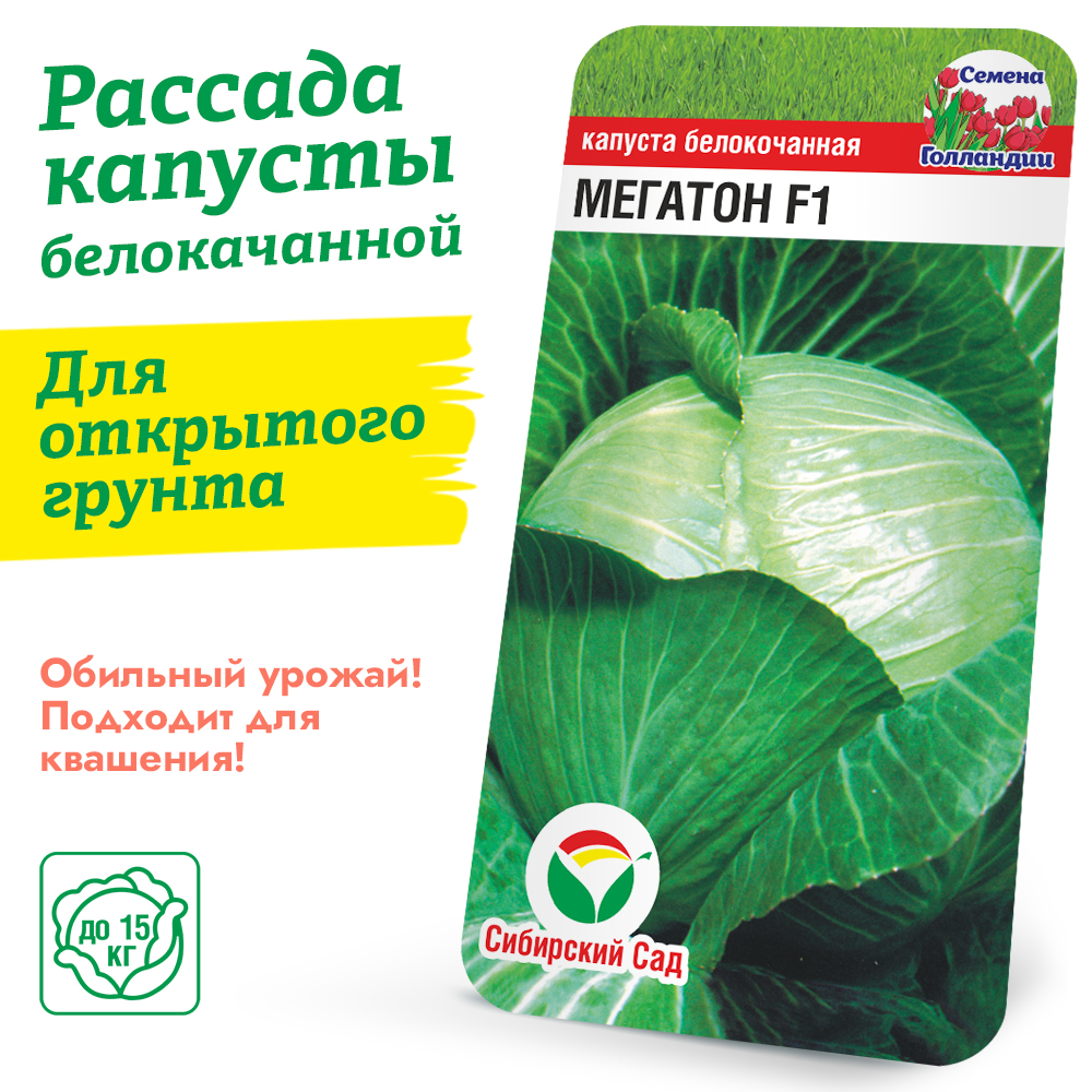 Капуста Мегатон F1 1шт (ящик/84яч; 1/2ящ/42яч)