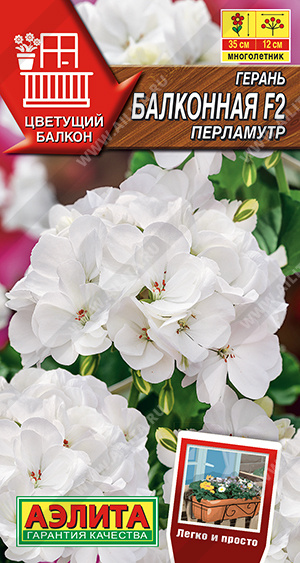 Герань Балконная F2 перламутр смесь 5шт (Аэлита)
