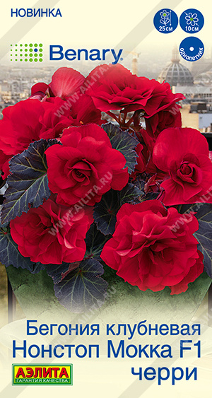 Бегония Нонстоп мокка F1 черри 5шт (Аэлита)