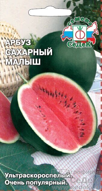 Арбуз Сахарный малыш ультраскороспелый 1г (Седек)