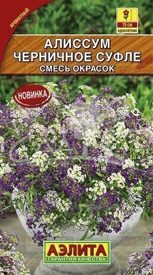 Алиссум Черничное суфле смесь однолетник 0,05г (Аэлита)