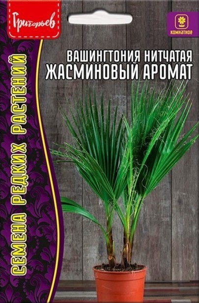 Вашингтония нитчатая Жасминовый аромат 5шт (Ред.Сем.)