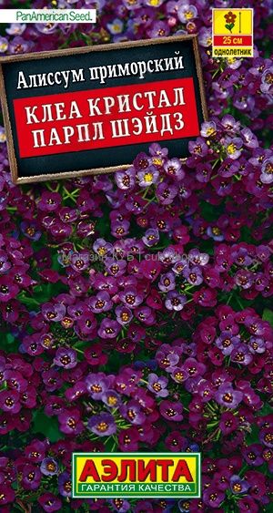 Алиссум Клеа кристал парпл шэйдз однолетник 4шт (Аэлита)