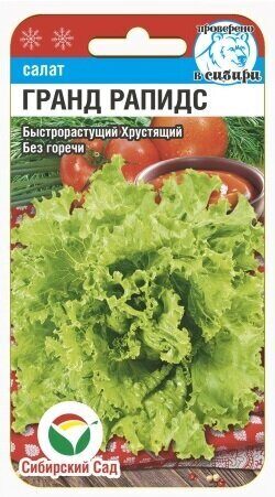 Салат Гранд Рапидс 0,5г (Сиб Сад)