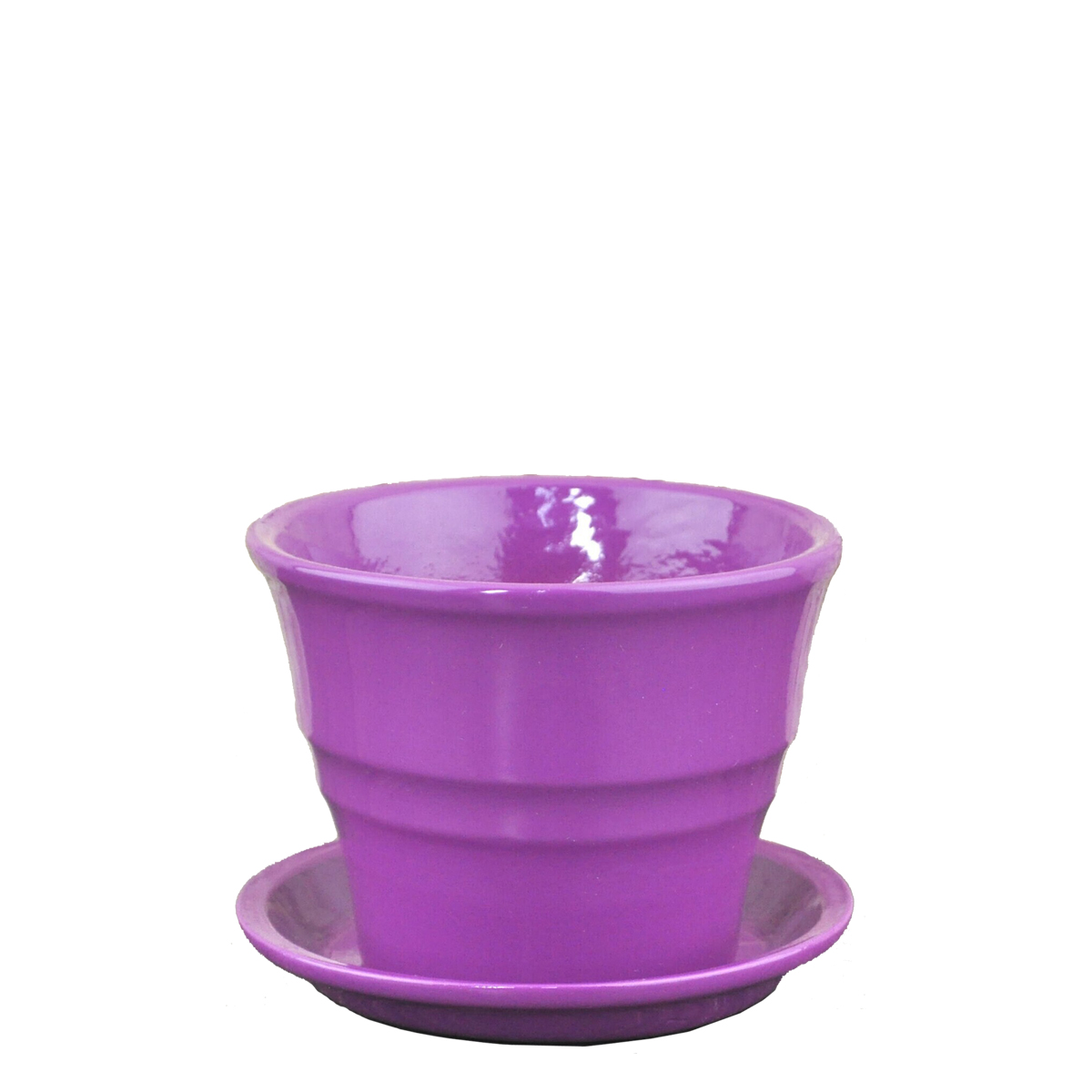 Колибри глянец лиловый 0,35л 10,5см ГЛ812/1 (СА)         