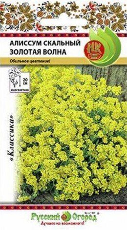 Алиссум Золотая волна скальный многолетник 0,1г (НК)