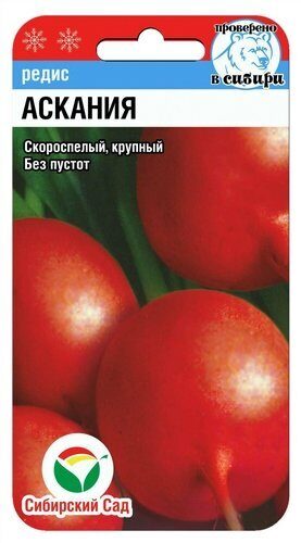 Редис АСКАНИЯ 2г (Сиб сад)