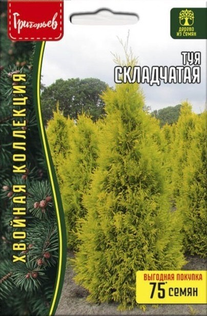 Туя Складчатая 0,1г (Ред.Сем)