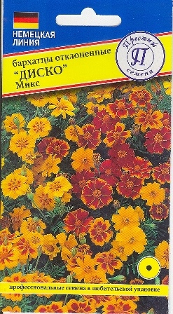 Бархатцы ДИСКО Микс однолетник 5шт (Престиж)