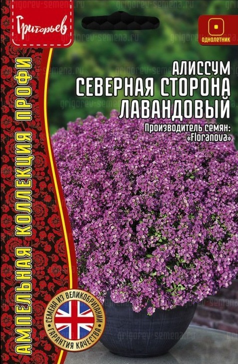 Алиссум Северная Сторона ампельный Лавандовый 10шт (Ред.Сем)