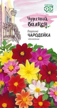 Георгина Чародейка смесь Чудесный балкон однолетник 0,3г (Гавриш)
