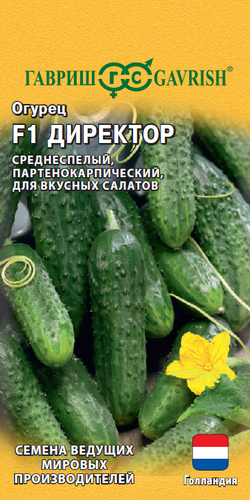 Огурец Директор F1 5шт (Гавриш)