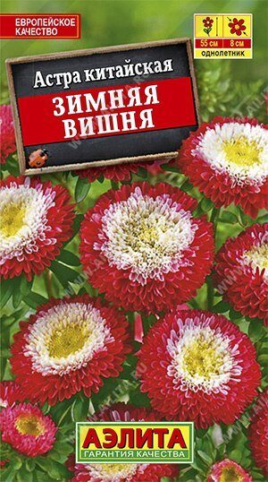 Астра Зимняя вишня помпонная однолетник 0,2г (Аэлита)