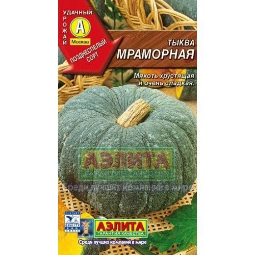 Тыква Мpамоpная крупноплодная 2г (Аэлита)