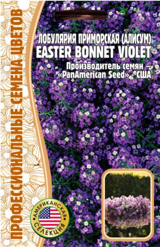 Алиссум (Лобулярия ) Easter Bonnet Violet однолетник 20шт (Ред.сем)