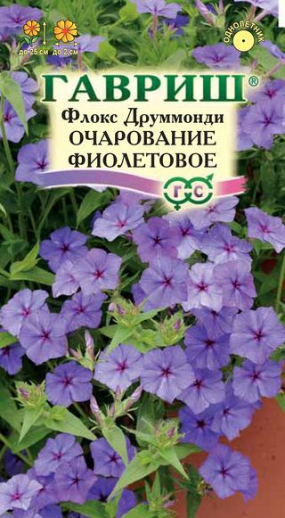 Флокс Друм Очарование фиолетовое однолетник 0,05г (Гавриш)