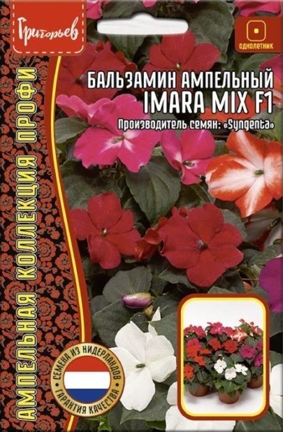 Бальзамин Imara Mix F1 ампельный однолетник 5шт (Ред.Сем)