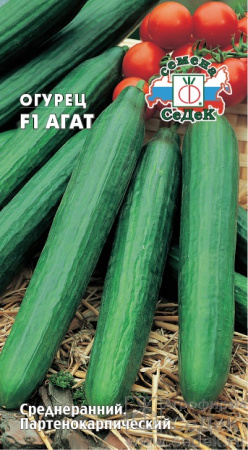 Огурец Агат (Седек)